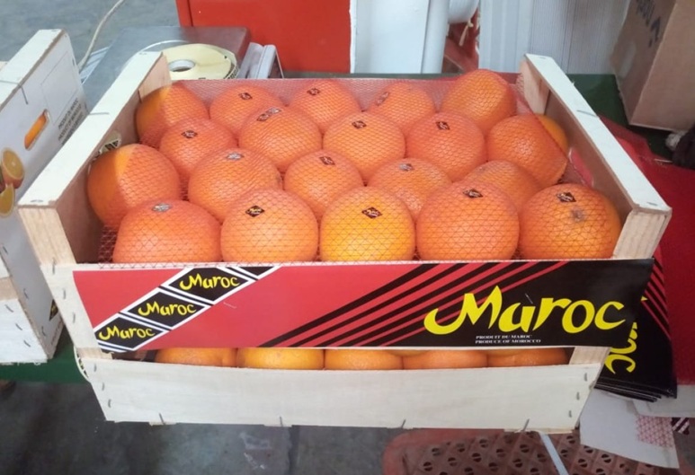 Oranges